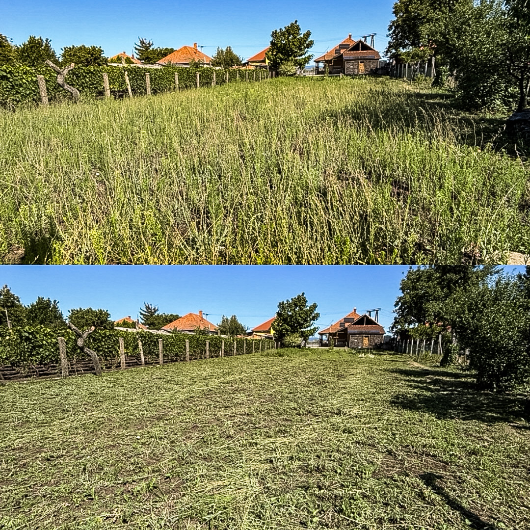 fűkaszálás előtte-utána – lejtős terület kaszálása Mezőkövesd | Tiszta Zóna