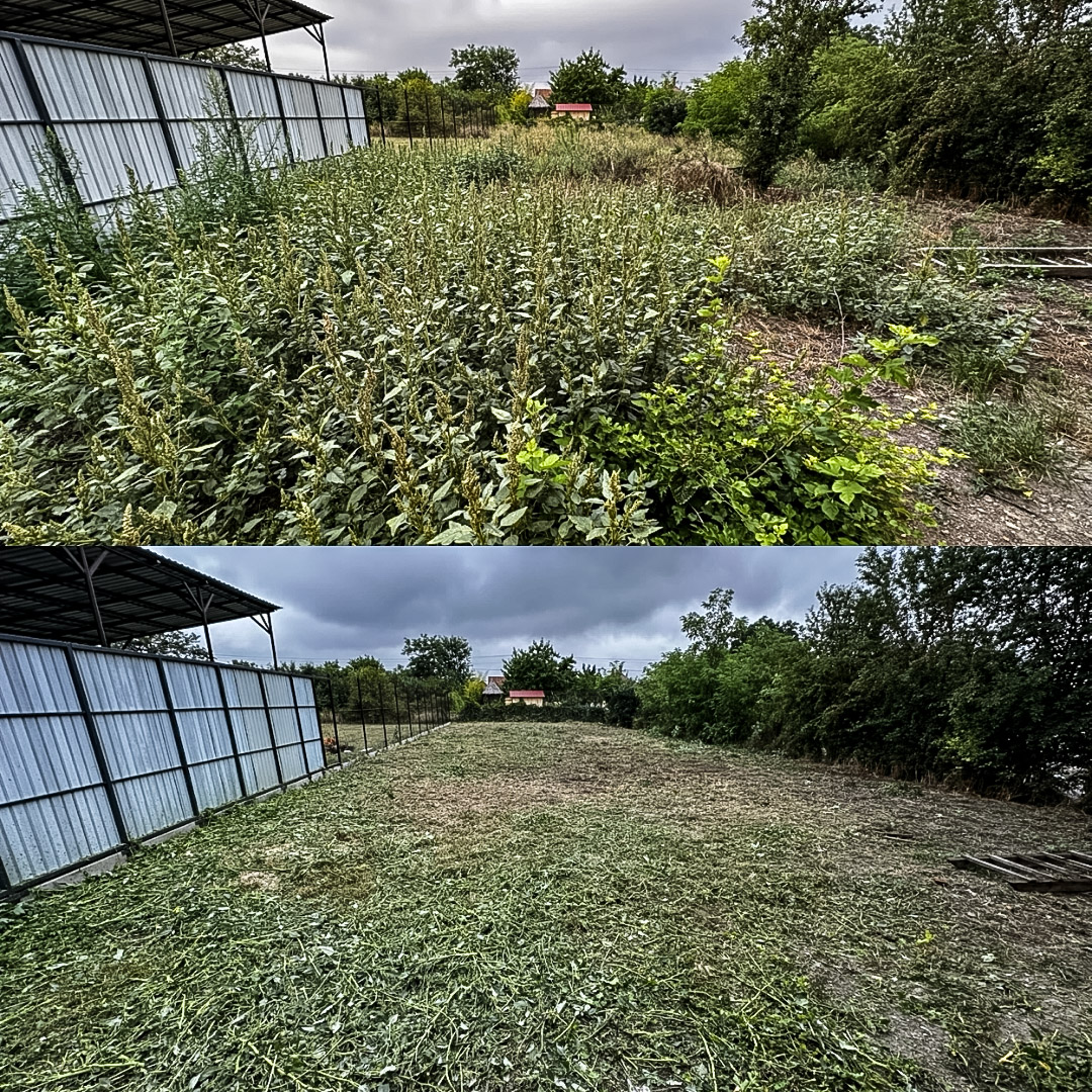 bozótirtás előtte-utána – nagy cserjés területrendezés Mezőkövesd | Tiszta Zóna