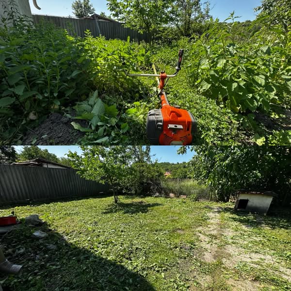 Tiszta Zóna munkája