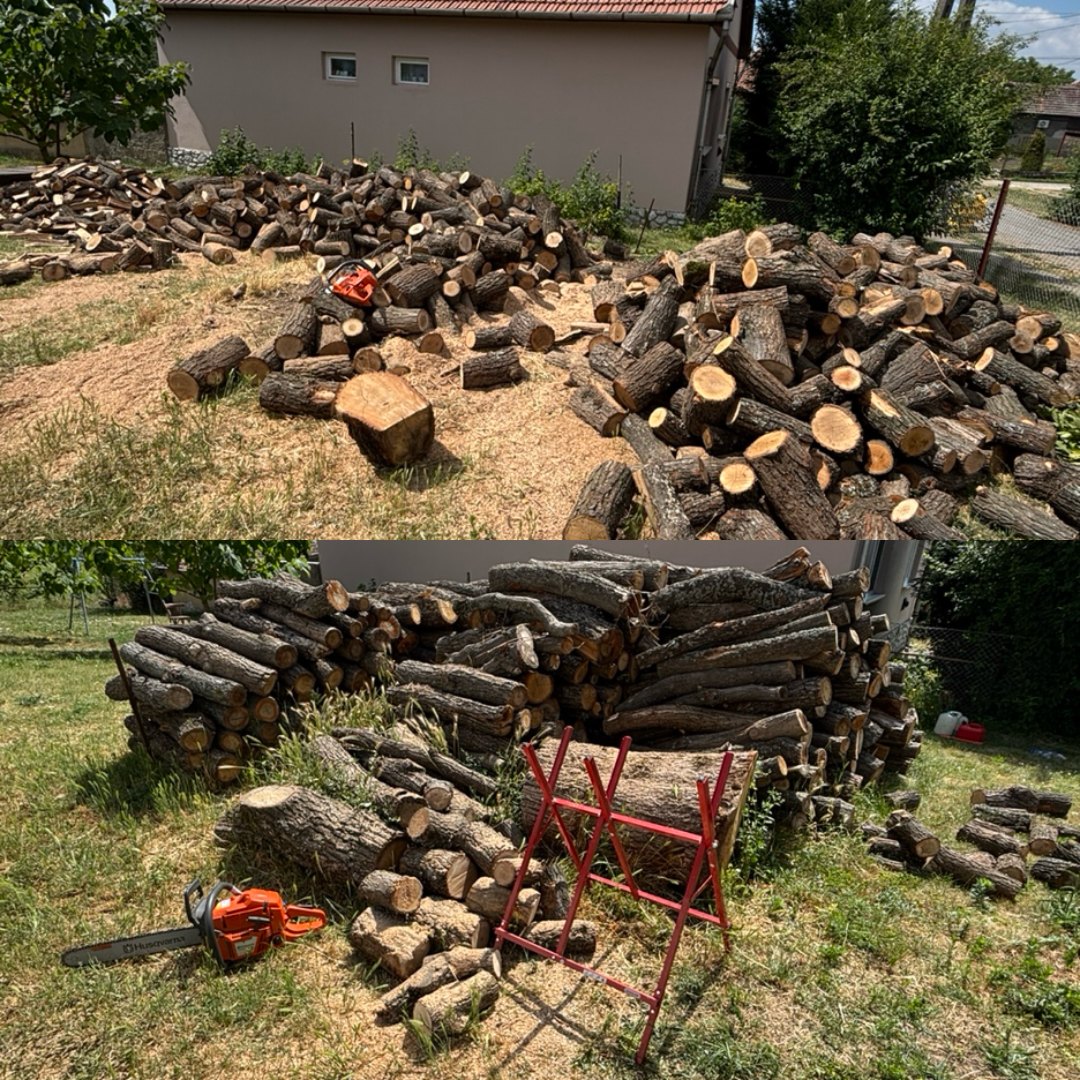 Tiszta Zóna munkája