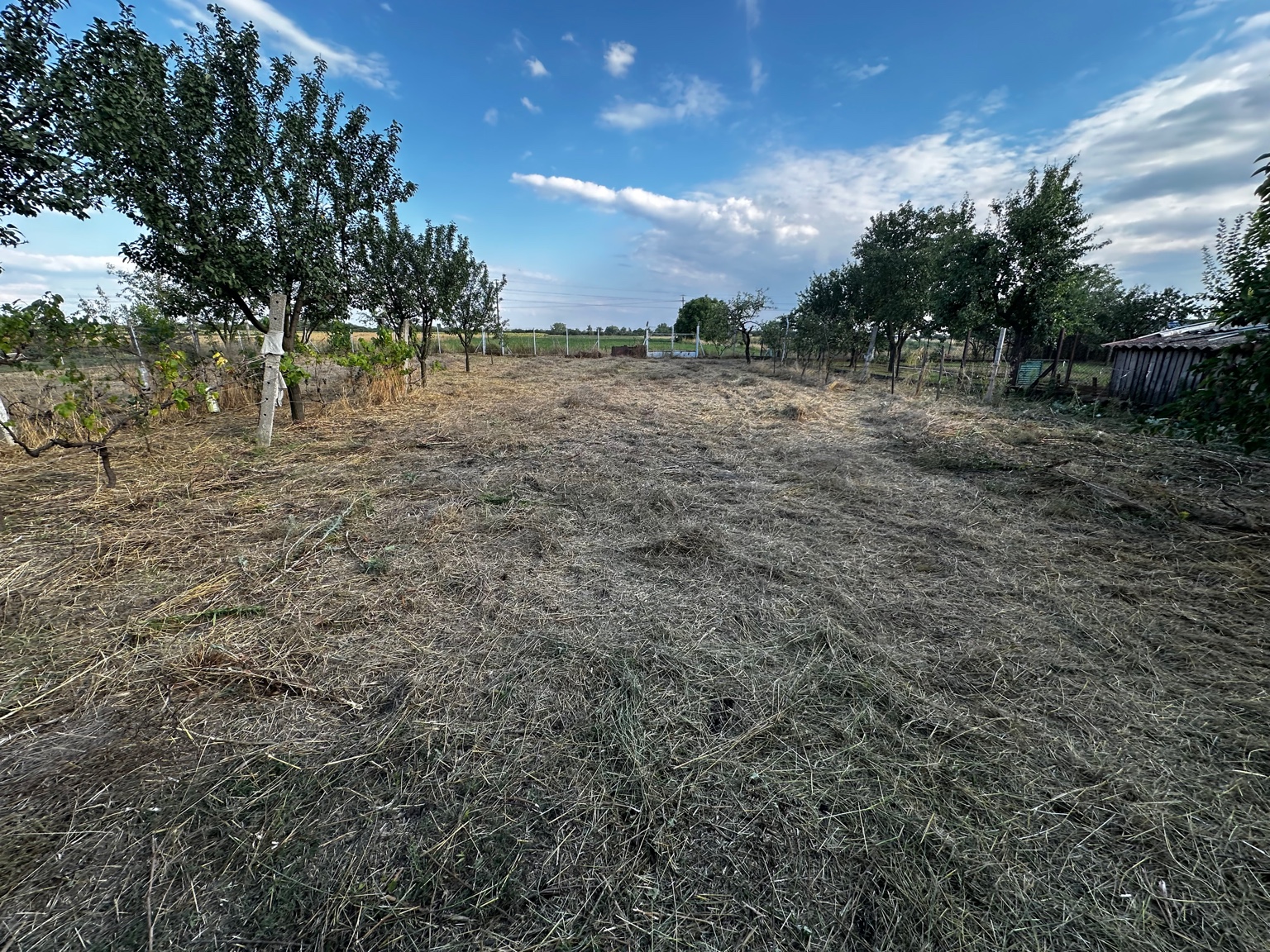 Tiszta Zóna munkája