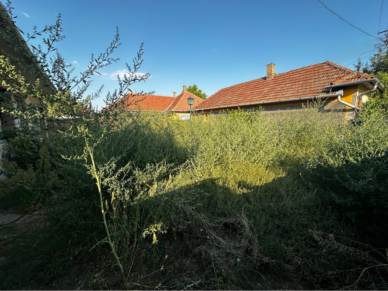 Tiszta Zóna munkája