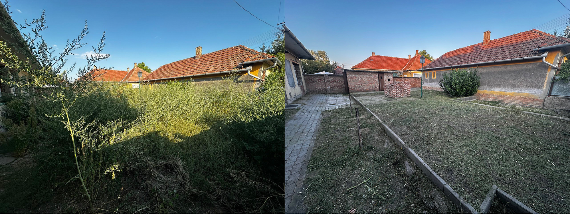 bozótirtás előtte-utána – sűrű bozót udvar Mezőkövesd | Tiszta Zóna