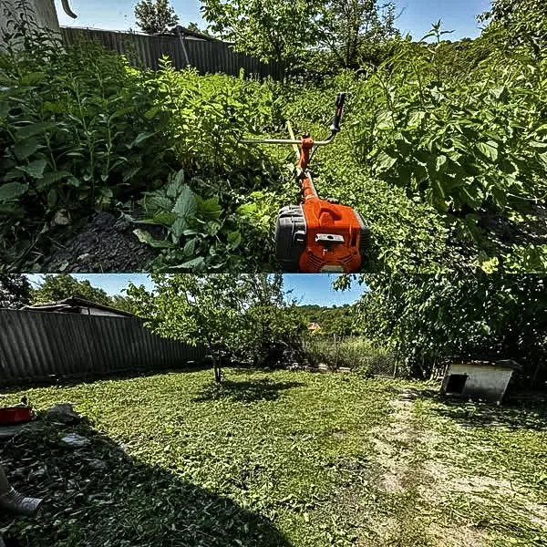 fűkaszálás előtte-utána – kert rendbetétel narancssárga trimmerrel | Tiszta Zóna
