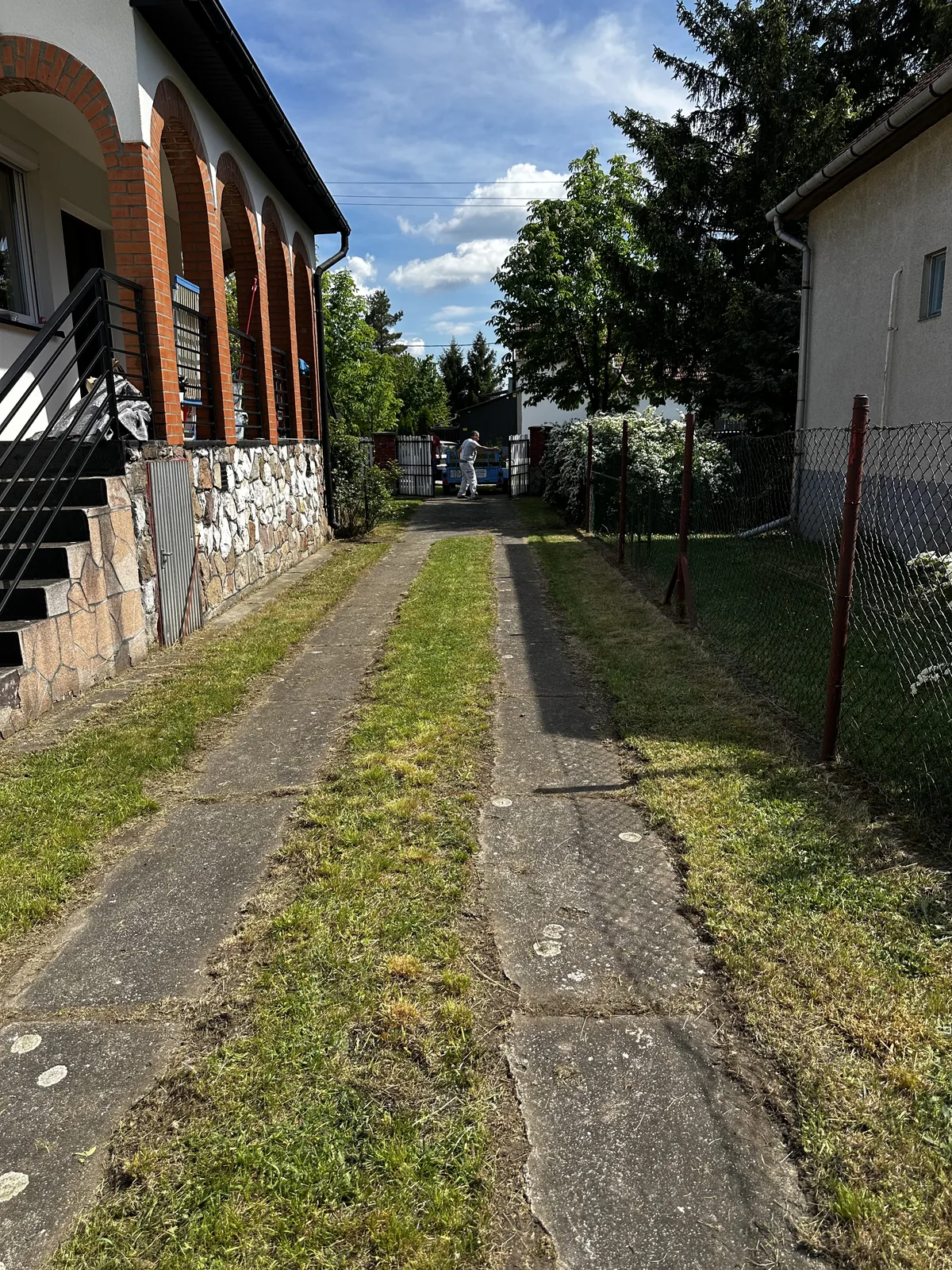 fűnyírás utána – rendezett bejáró, le van nyírva | Tiszta Zóna