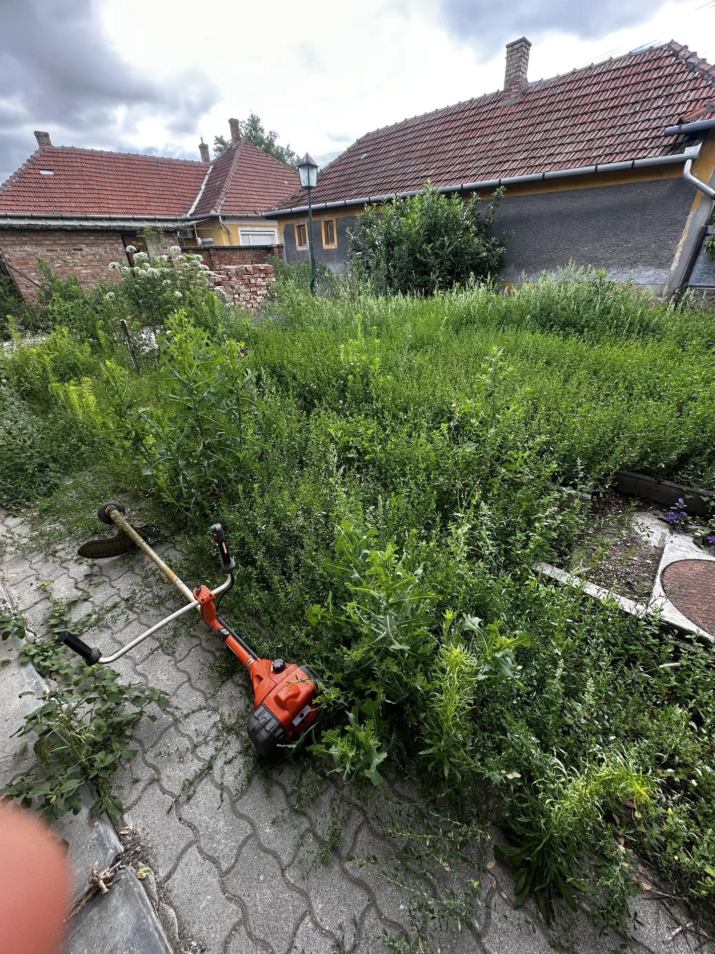 Rotakapálás munka közben – félig kész udvar | Tiszta Zóna