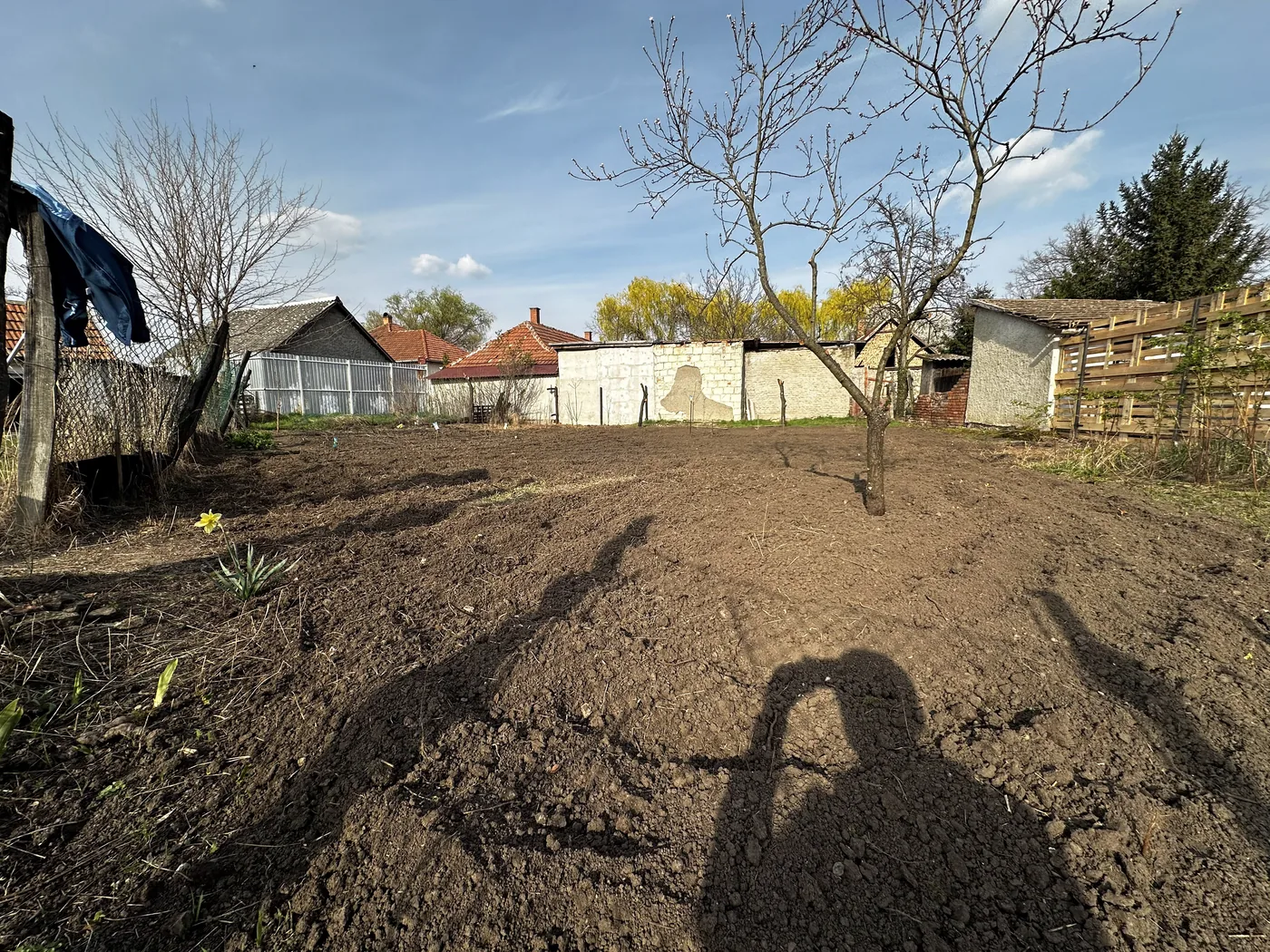 rotakapálás utána – ugyanaz a kert teljesen felforgatva, lazítva | Tiszta Zóna