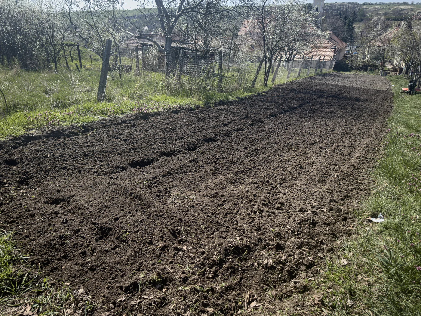 rotakapálás után – felszántott kert virágzó fákkal | Tiszta Zóna